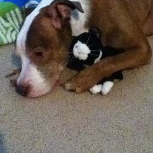 Meet your Posher, Diane